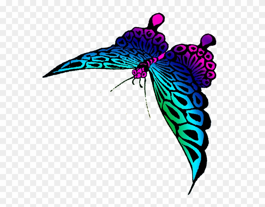Strange Colored Butterfly Image - Many Colorful Butterfly Transparent Clipart