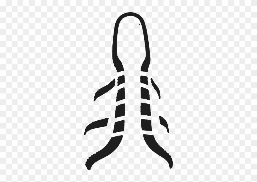 Ruby Wax Leather R502 Black Aniline - Illustration Clipart