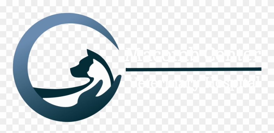 Circle Clipart