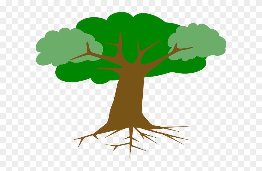 Tree, Roots, Leaves, Cross Section, Plant, Branches - Tree With Roots Drawing Clipart