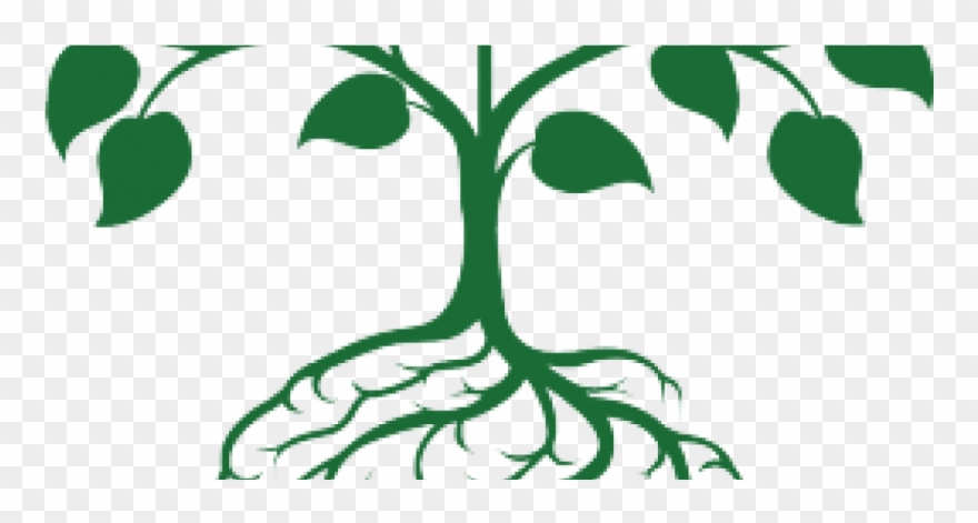 Stanford Neurosciences Institute, Big Ideas In Neuroscience - Brain Root Clipart