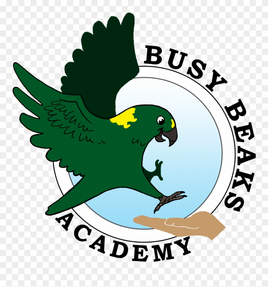 Busy Beaks Academy - Adendorfer Ec Clipart