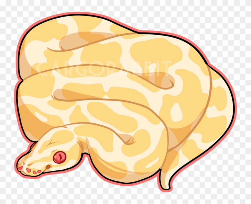 Ball Python Clipart Cute Cartoon - Ball Python Snake Drawing - Png Download