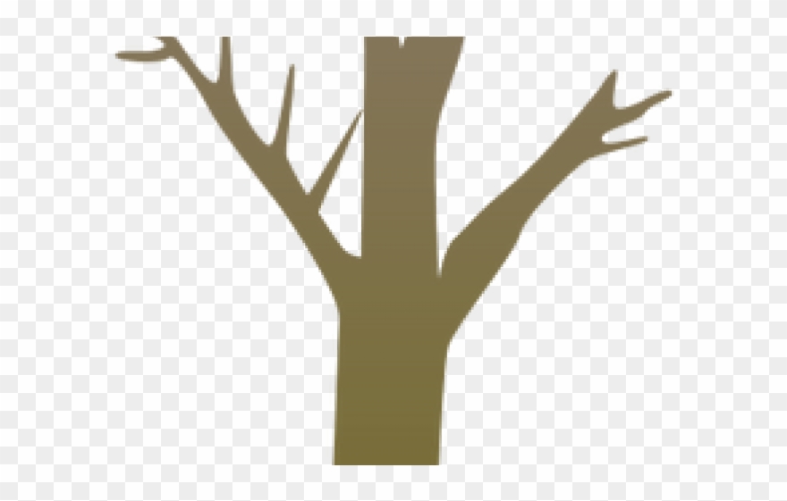 Stump Clipart Tree Trunk - Tree Trunk Drawing Png Transparent Png