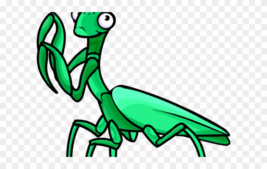 Mantis Clipart Transparent - Mantis - Png Download