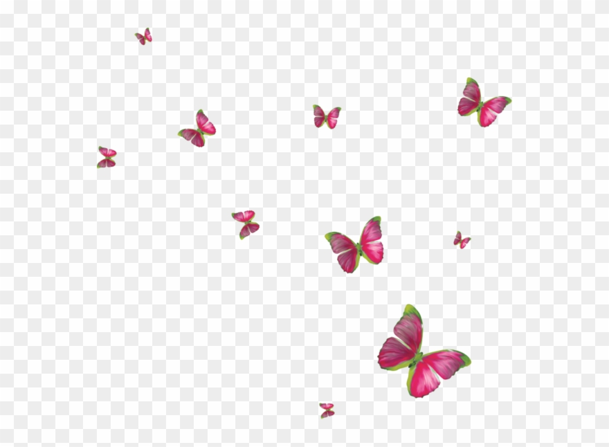 Clipart Butterflies Butterfly Clip Art, Butterflies, - Blue Butterfly Frame Png Transparent Png