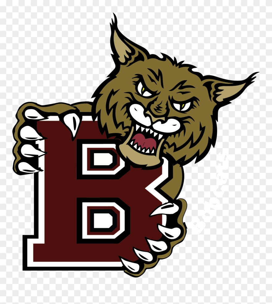 Clip Freeuse June Birchwood News School - Birchwood Bobcats - Png Download