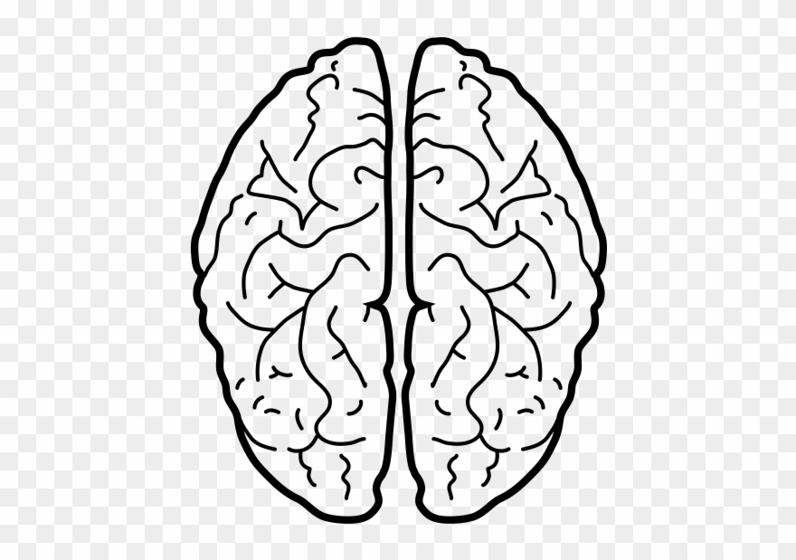 Tecnicas De Memoria Veloz Clipart