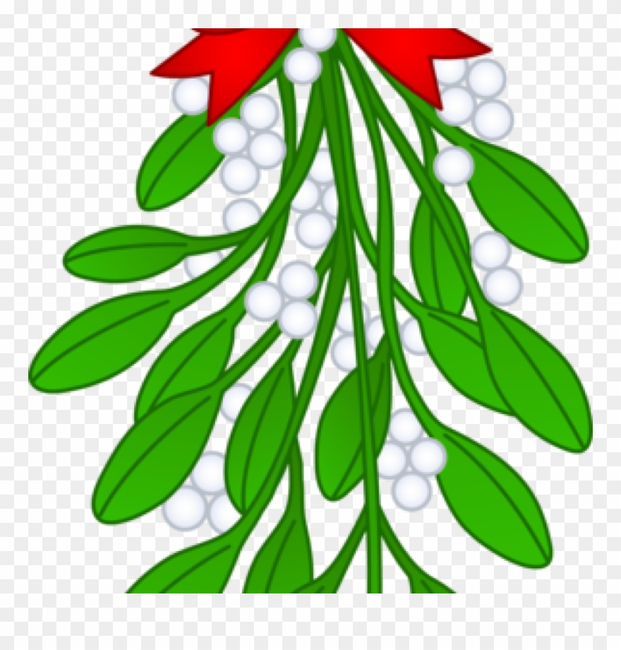 Free Mistletoe Clipart Christmas Mistletoe With Red - Clipart Transparent Background Mistletoe - Png Download