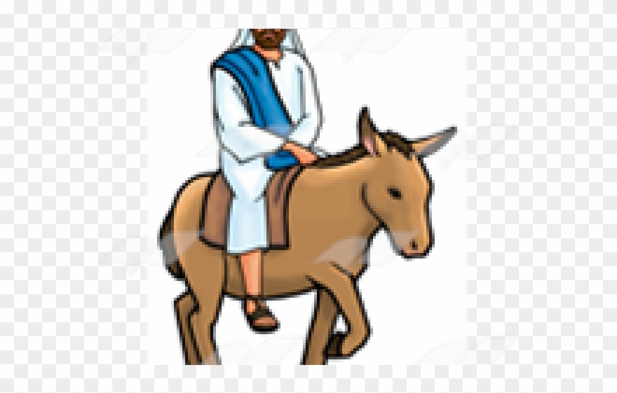 Donkey Clipart Jesus - Mule - Png Download