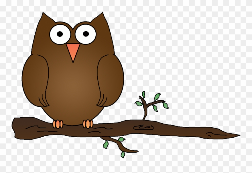 Gallery For Owl On Branch Clipart - عکس انواع جغد کارتونی - Png Download