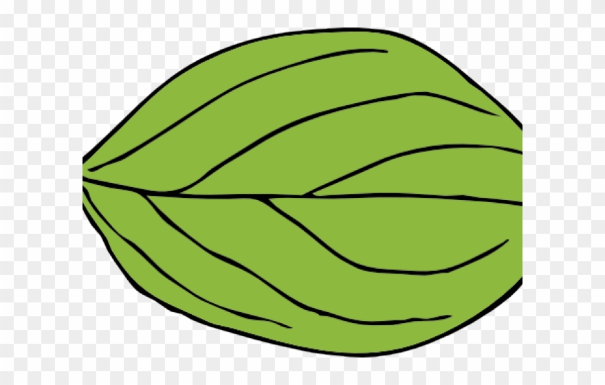 Leaf Clipart Apple Tree - Png Download