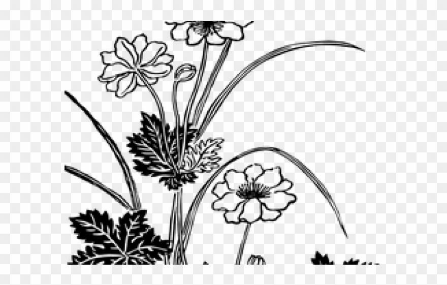 Get Black And White Vintage Flowers Png Pics