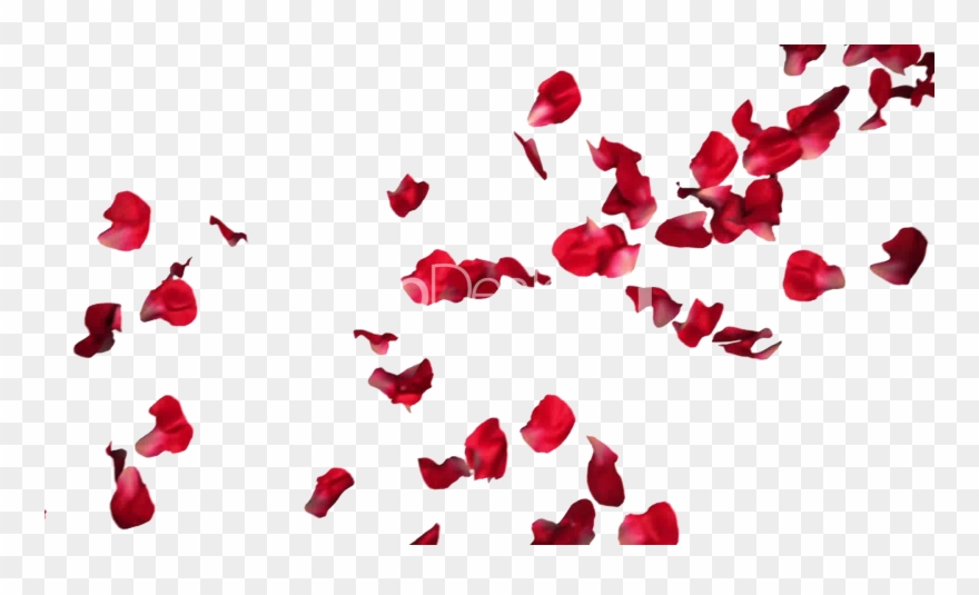 Vintage Frame Extended Heart - Red Roses Petals Png Clipart