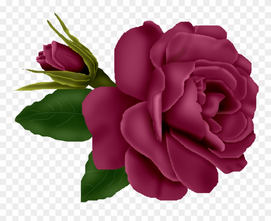 0 746e1 898e86bf Orig Flower Images, Flower Pictures, - Purple Roses Clip Art - Png Download