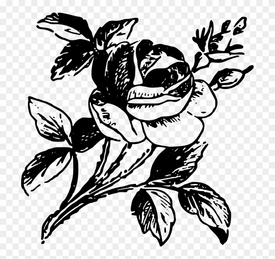 All Photo Png Clipart - Ornamen Bunga Mawar Hitam Putih Transparent Png