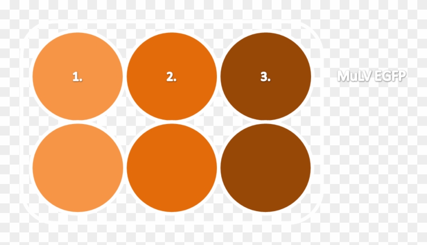 Centrifugation At 37°c For 45 Min At 400 Rpm - Manhole Cover Bath Mat Clipart
