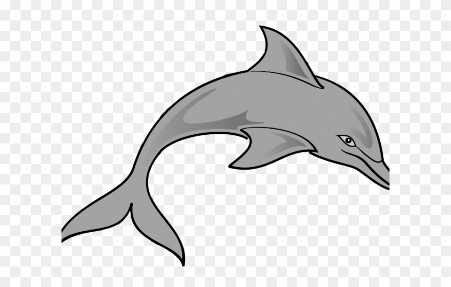 Dolphins Clipart Couple - Transparent Dolphin Clip Art - Png Download