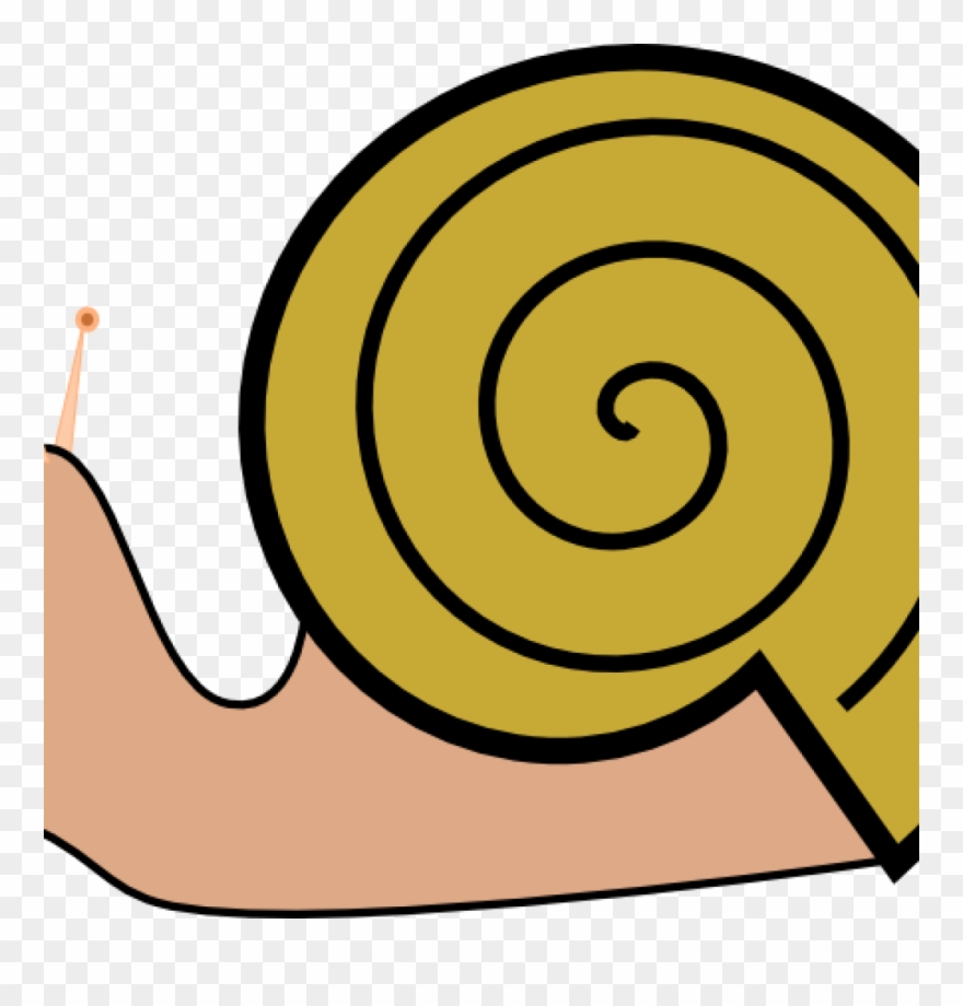 Snail Clipart Pond Snail - Cartoon Snail Shell - Png Download