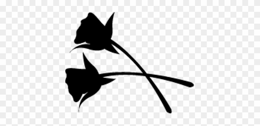 Silhouette - White Silhouette Of Roses Clipart