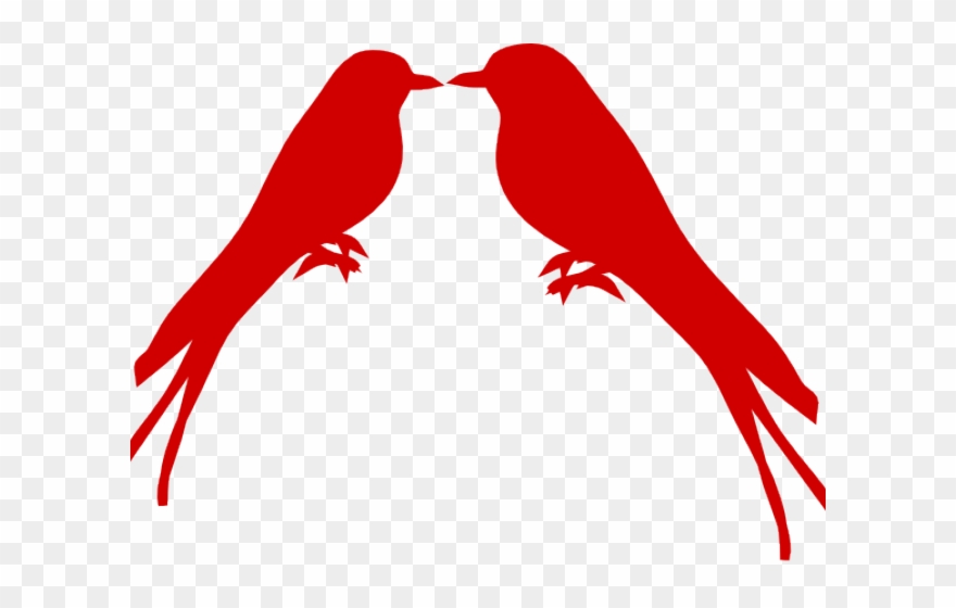 Branch Clipart Love Bird - Clip Art - Png Download