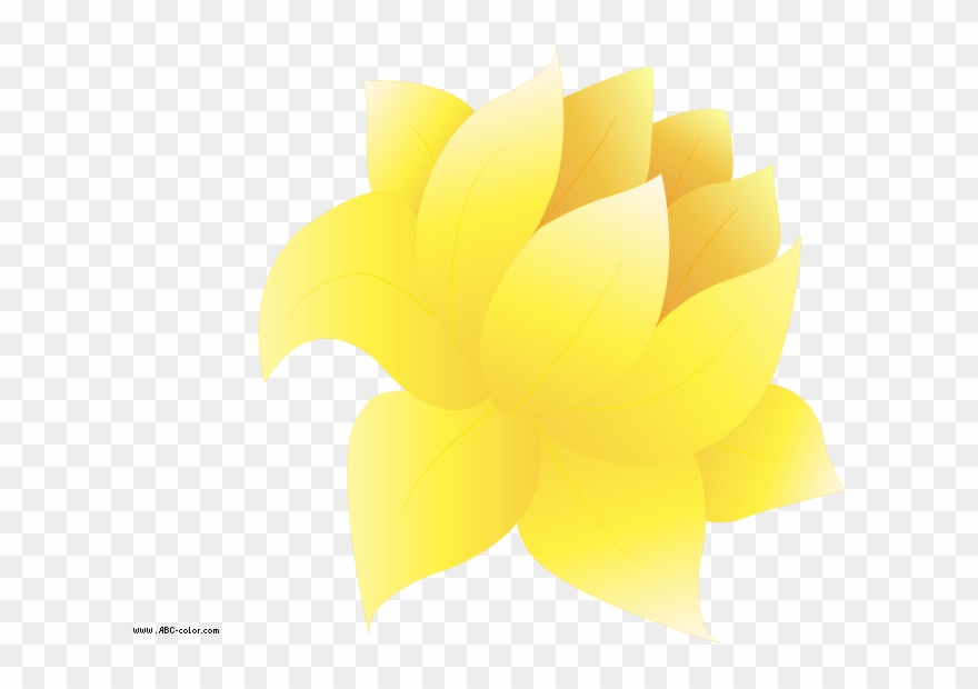 Raster Clipart Water Lily - Sacred Lotus - Png Download