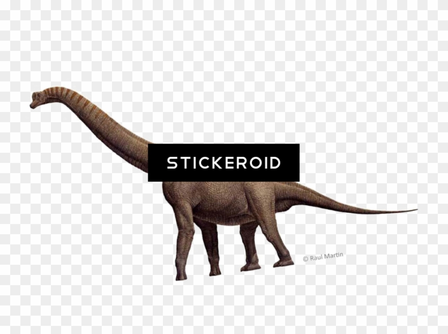 Musical Notes Treble Clef And Half Notes - Asian Elephant Clipart