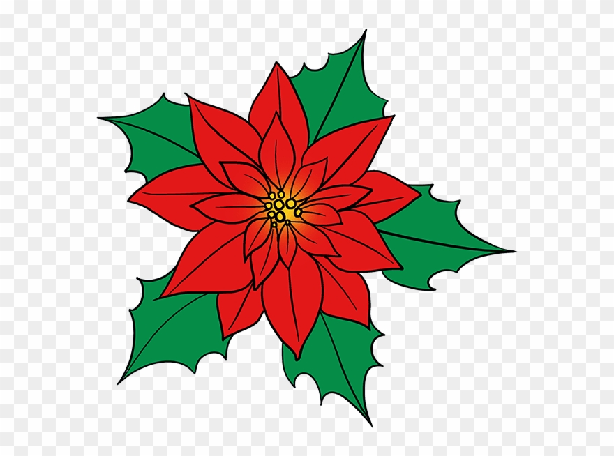 How To Draw Poinsettia - Drawing Of A Poinsettia Flower Clipart