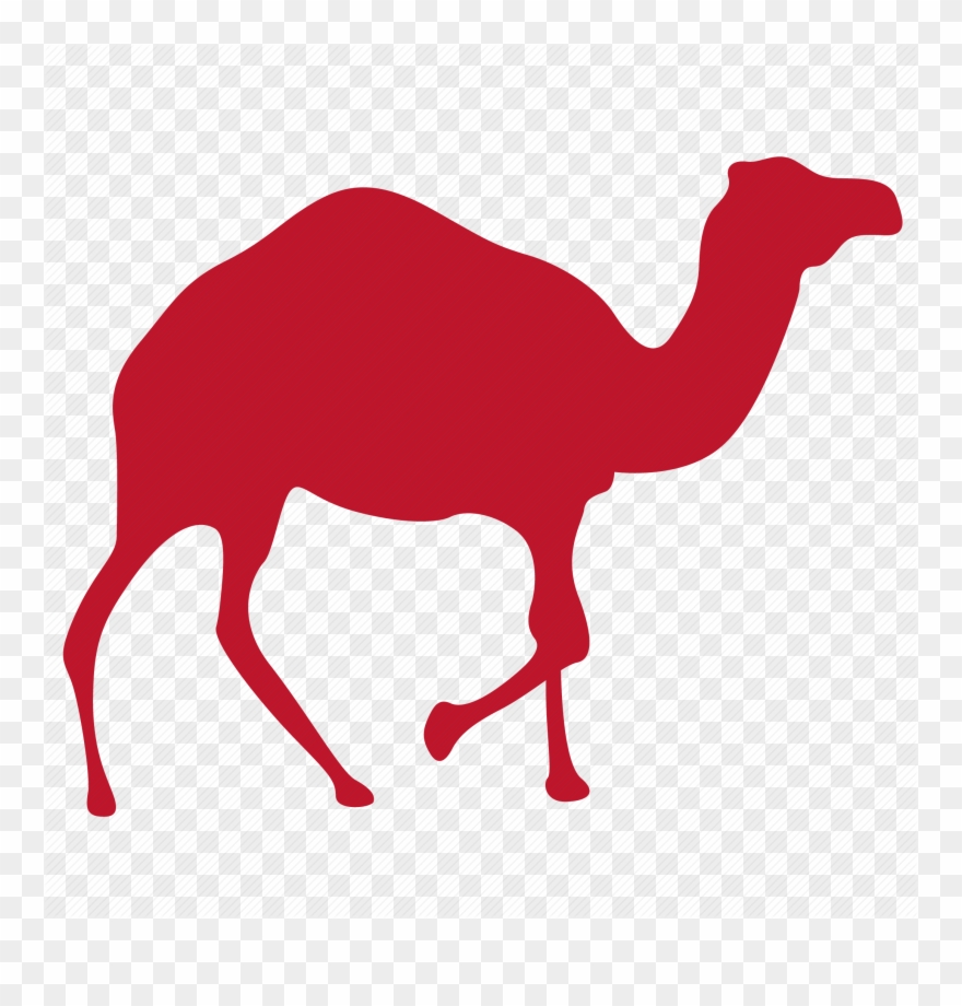 Camels Clipart Load - Camel Icon - Png Download