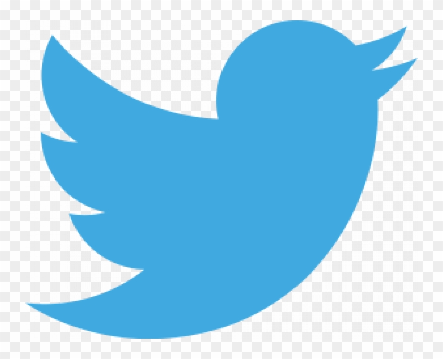 Anatomy Of A Killer Bug - New Twitter Logo Png Clipart
