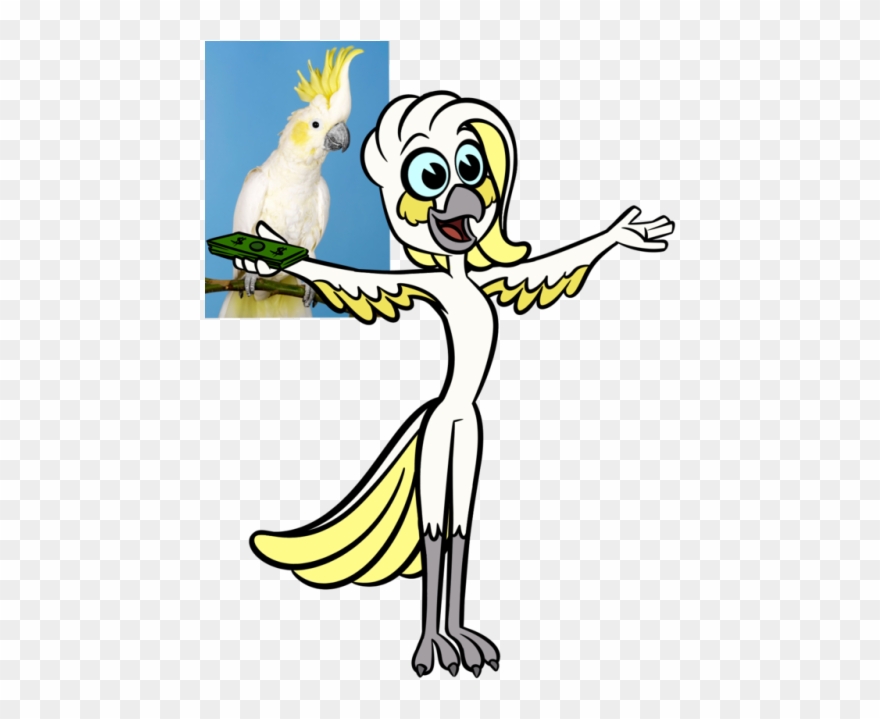 Jpg Free Download And My Figure Assignment - Cockatoo Clipart