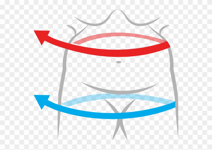 Inches - Indice Cintura Cadera Png Clipart