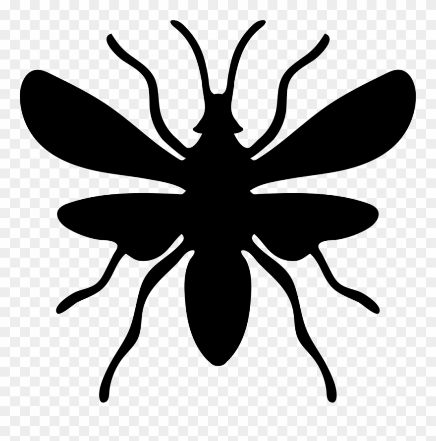 Png File - Shapes Of Insects Clipart