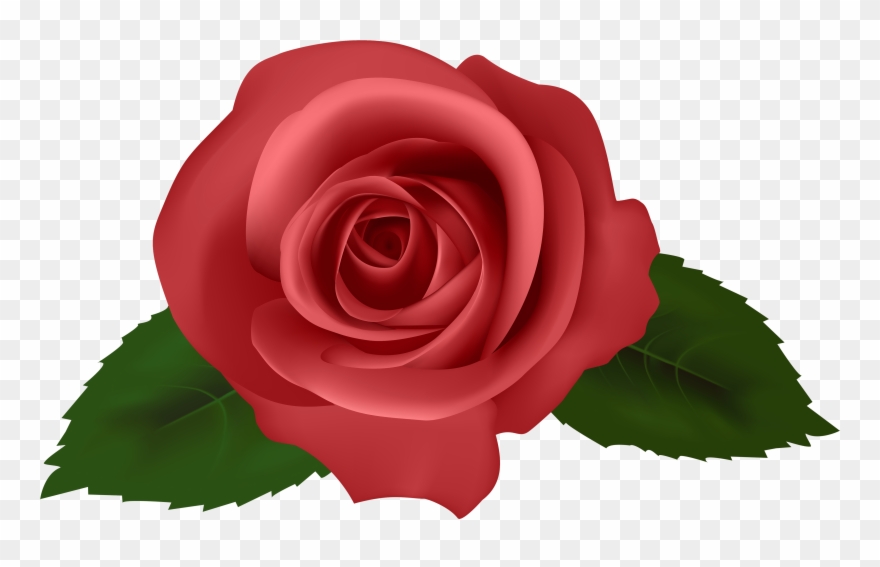 Wallpaper Roses Full Hd Wallpaper Roses Full Hd - Pinks Red Flowers Png Clipart