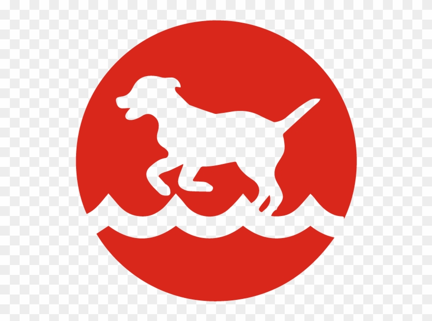 Dock Diving - Emblem Clipart