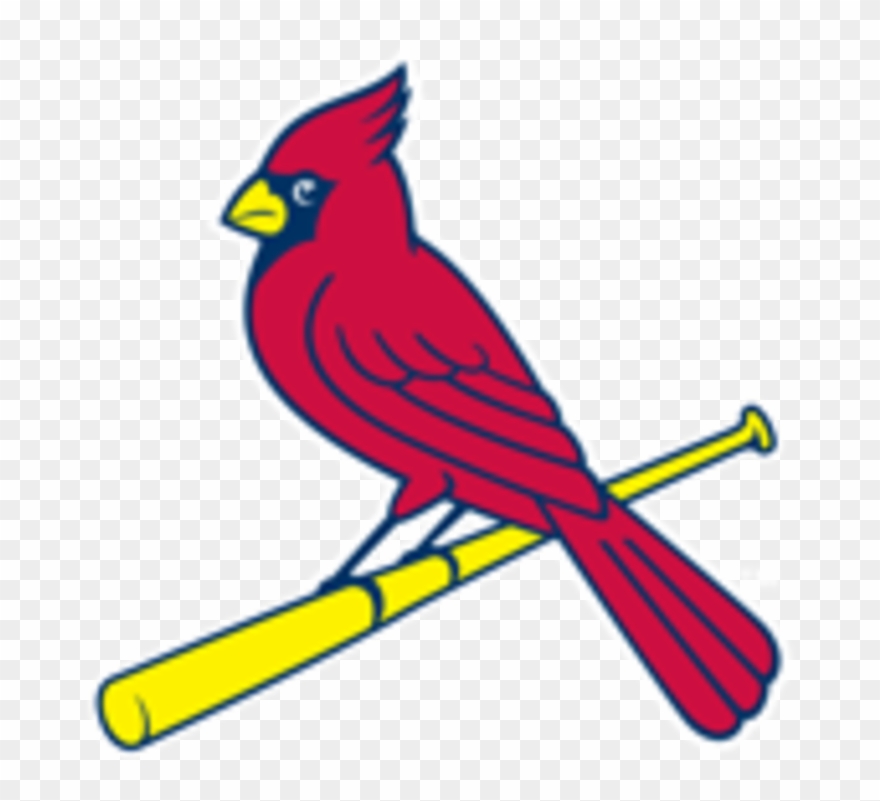St Louis Cardinals Bird On Bat Clipart
