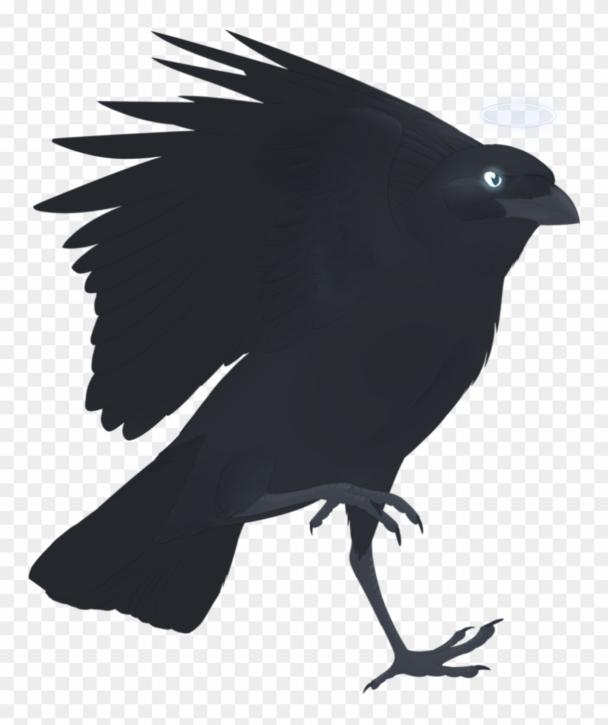 Graphic Freeuse Stock Birb Drawing Crow - Raven Clipart