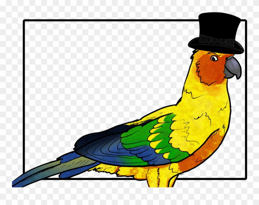 Image Black And White Download Birb Drawing Conure - Parakeet Clipart