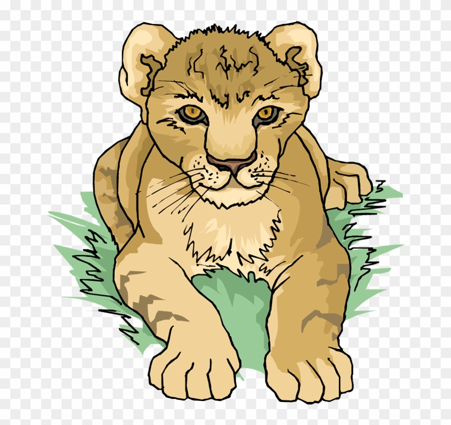 Cub Clipart Land Water Animal - Imagenes De Dibujos Tigres Y Leones - Png Download
