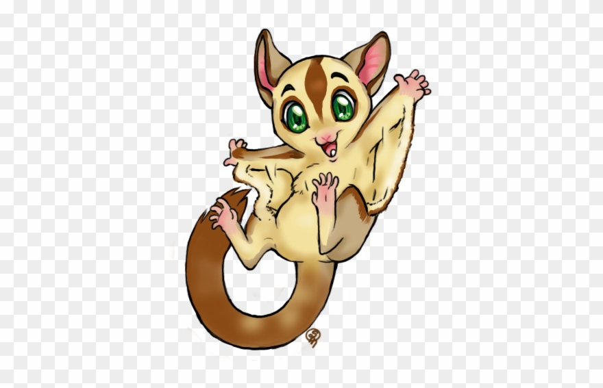 Glidergossip - Sugar Glider Clip Art - Png Download