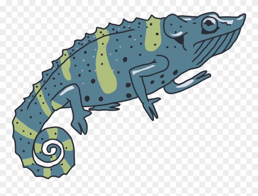 Mellers Chameleon - “ - Meller's Chameleon Clipart