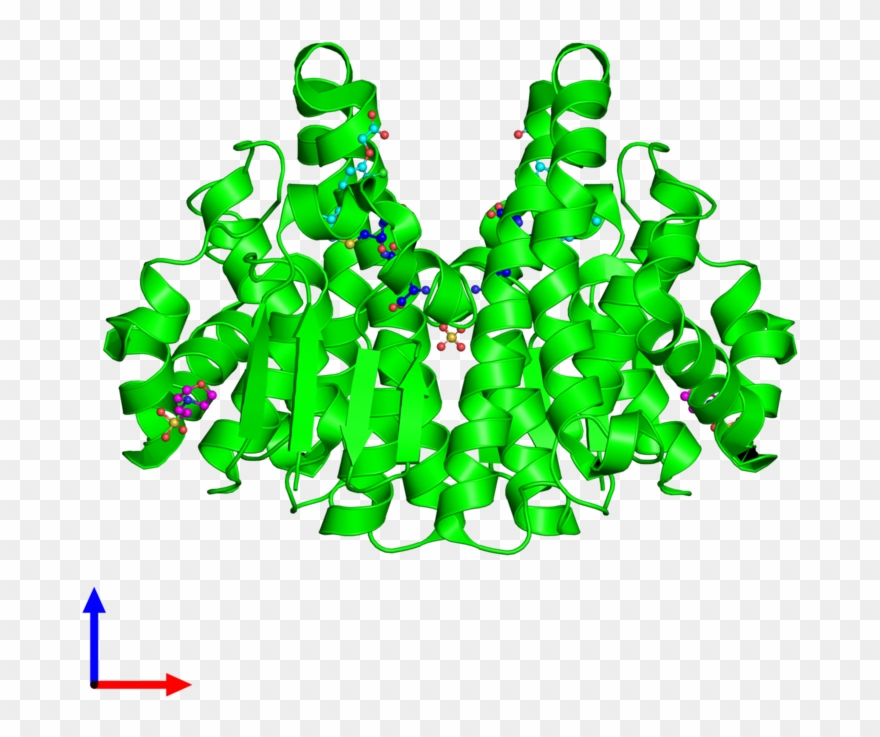 <div Class='caption-body'><ul Class ='image Legend - Molecule Clipart