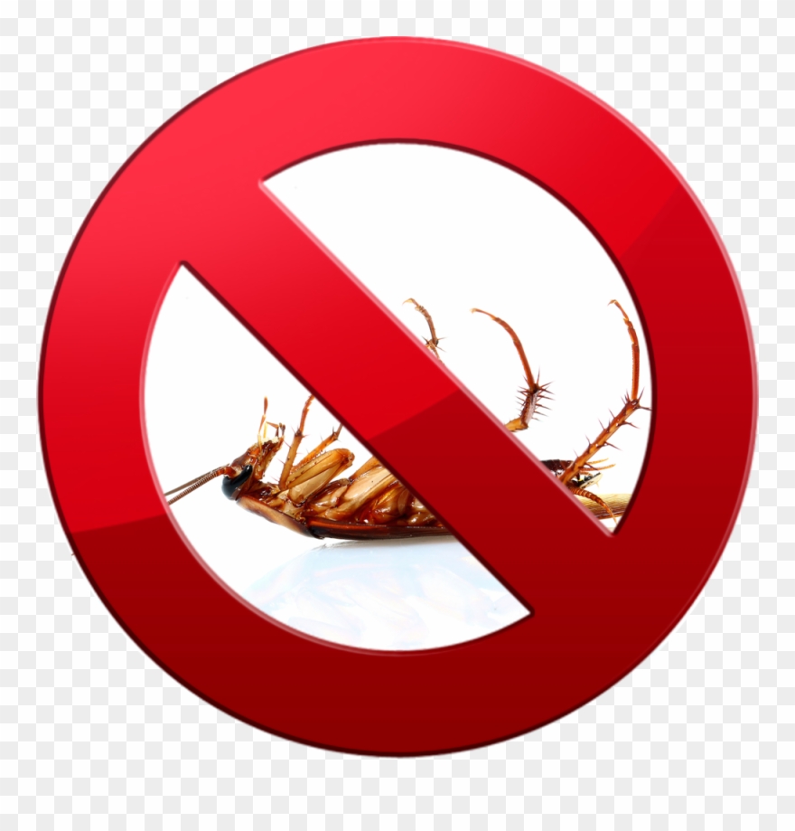 Cockroachcontrol - Cucaracha Muerta Patas Arriba Clipart