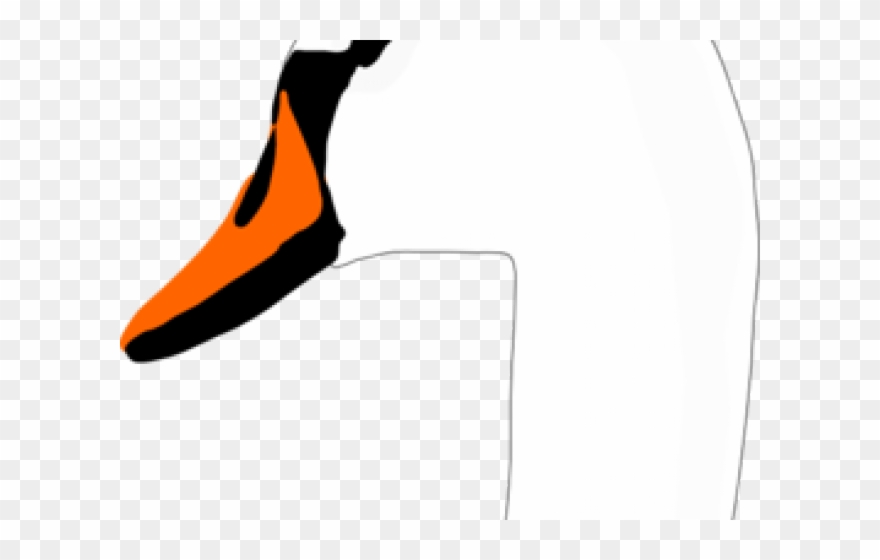 Swan Clipart Swan Head - Cygnini - Png Download