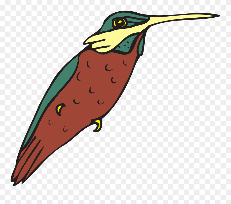 Bird, Wings, Art, Hummingbird, Beak, Feathers Clipart - Portable Network Graphics - Png Download