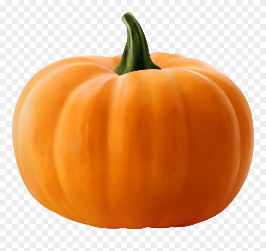 Realistic Pumpkin Clip Art Image - Pumpkin - Png Download