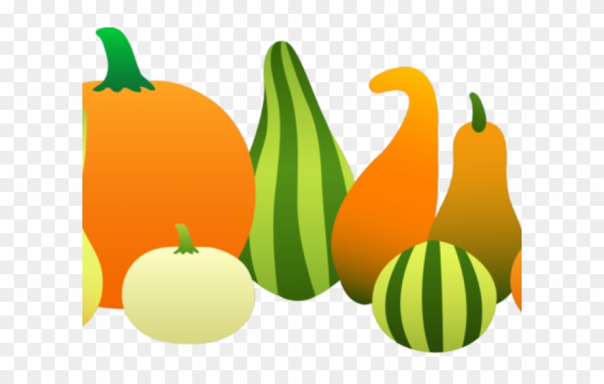 Gourd Clipart Round - Pumpkins And Gourds Clipart - Png Download