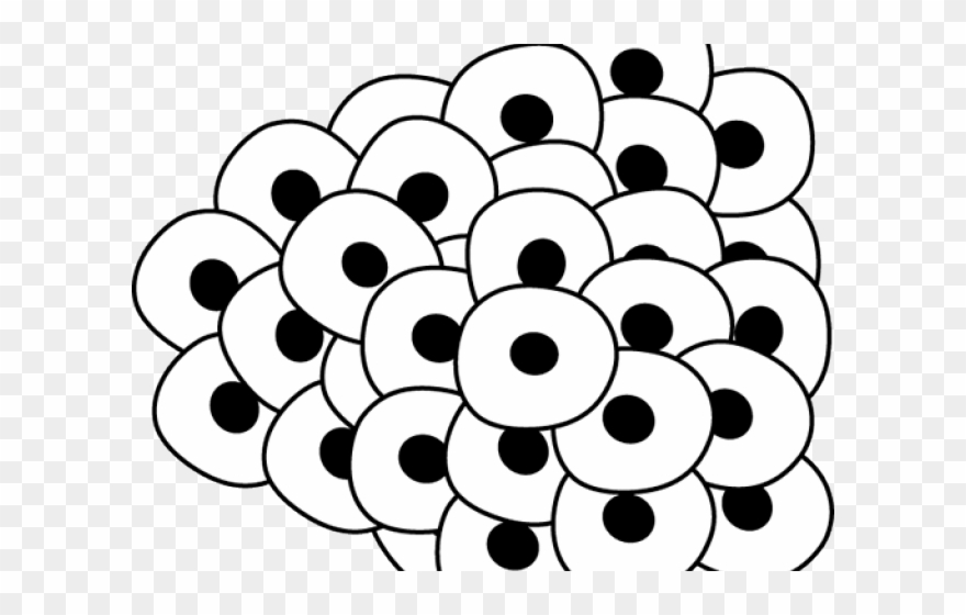 Pond Clipart Design - Ciclo De Vida De Una Rana En Ingles - Png Download