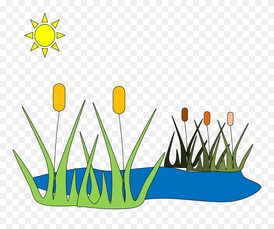 Pond Clipart Frog House - Pond Grass Clip Art - Png Download
