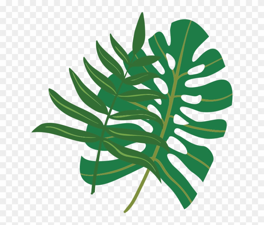 With A Vermouth - Food Clipart